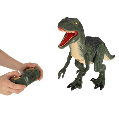 Dinozaur zdalnie sterowany na pilota RC Velociraptor + dźwięki Dinozaur zdalnie sterowany na pilota RC Velociraptor + dźwięki