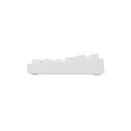 Genesis | White | Mechanical Gaming Keyboard | THOR 404 TKL RGB | Mechanical Gaming Keyboard | Wired | US | USB Type-A | 1005 g Genesis | White | Mechanical Gaming Keyboard | THOR 404 TKL RGB | Mechanical Gaming Keyboard | Wired | US | USB Type-A | 1005 g