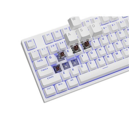 Genesis | White | Mechanical Gaming Keyboard | THOR 404 TKL RGB | Mechanical Gaming Keyboard | Wired | US | USB Type-A | 1005 g Genesis | White | Mechanical Gaming Keyboard | THOR 404 TKL RGB | Mechanical Gaming Keyboard | Wired | US | USB Type-A | 1005 g