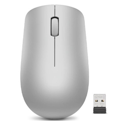 Lenovo | Wireless Mouse | 530 | Optical Mouse | 2.4 GHz Wireless via Nano USB | Platinum Grey | 1 year(s) Lenovo | Wireless Mouse | 530 | Optical Mouse | 2.4 GHz Wireless via Nano USB | Platinum Grey | 1 year(s)