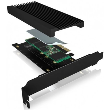 Raidsonic | Interface adapter | M.2 | PCIe 4.0 x4 Raidsonic | Interface adapter | M.2 | PCIe 4.0 x4