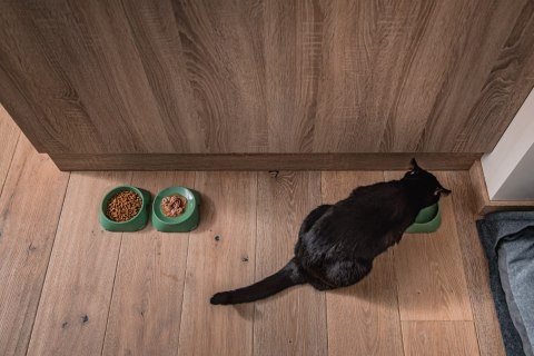 Miska płytka BIAŁA FIBOO Miska płytka BIAŁA FIBOO