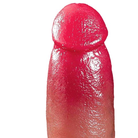 WIBRATOR REALISTYCZNY PENIS GÓRA DÓŁ EROTYKA WIBRATOR REALISTYCZNY PENIS GÓRA DÓŁ EROTYKA