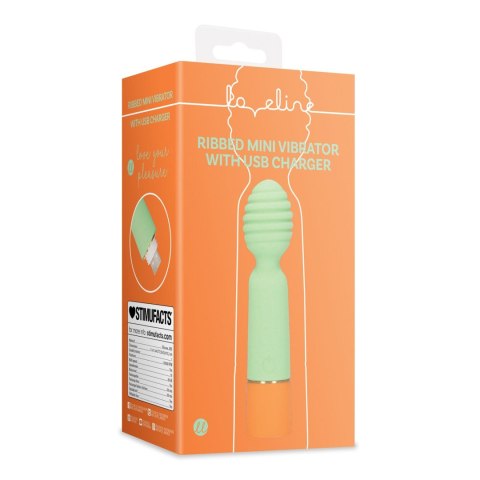 Ribbed Mini Vibrator with USB Charger Ribbed Mini Vibrator with USB Charger