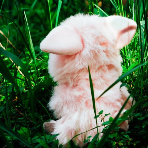 TRUDI FLUFFIES ŚWINKA