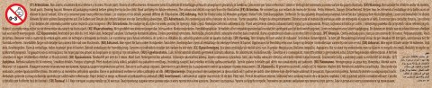 LISCIANI DISNEY PUZZLE EKO DWUSTRONNE MAŁA SYRENKA 60 EL.