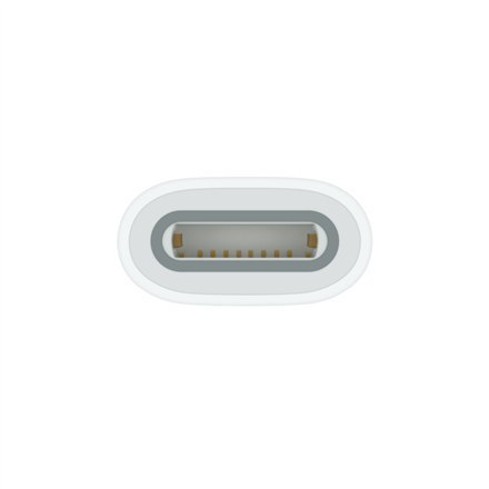 Apple | White Apple | White
