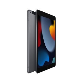 Apple | iPad 10.2" 9th Gen | 10.2 " | Space Grey | Retina IPS LCD | 1620 x 2160 pixels | A13 Bionic | 3 GB | 256 GB | 4G | Wi-Fi