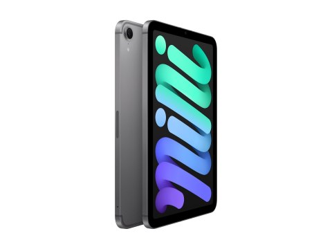 Apple iPad Mini (A17 Pro) Wi-Fi + Cellular 256GB Space Gray | Apple Apple iPad Mini (A17 Pro) Wi-Fi + Cellular 256GB Space Gray | Apple