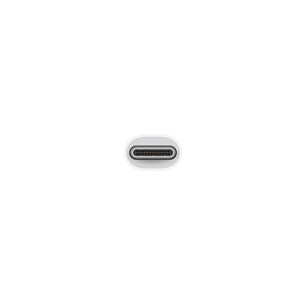 Female | 4 pin USB Type A | 19 pin HDMI Type A | 24 pin USB-C (power only) | Male | 24 pin USB-C | White