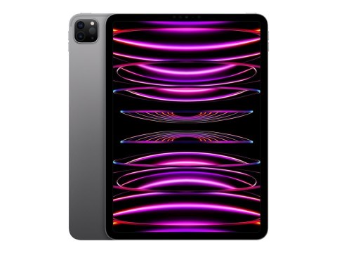 IPad Pro 11" Wi-Fi 2TB - gwiezdna szarość 4. generacji | Apple