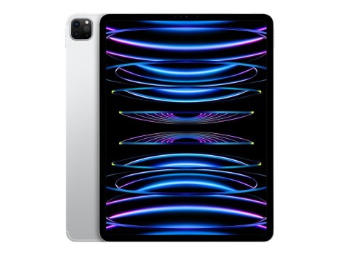 IPad Pro 12.9" Wi-Fi + Cellular 256GB - Silver 6th Gen | Apple