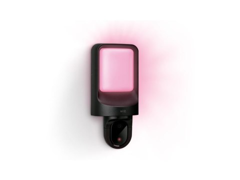 WiZ Smart WiFi Outdoor Wall Light with Camera Wizarding World WiZ Smart WiFi Outdoor Wall Light with Camera Wizarding World