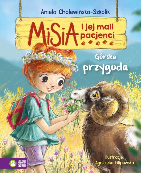 Misia i jej mali pacjenci. T.17 Górska przygoda