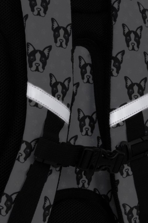 COOLPACK - JERRY - PLECAK MŁODZIEŻOWY - FRENCH BULLDOGS COOLPACK - JERRY - PLECAK MŁODZIEŻOWY - FRENCH BULLDOGS