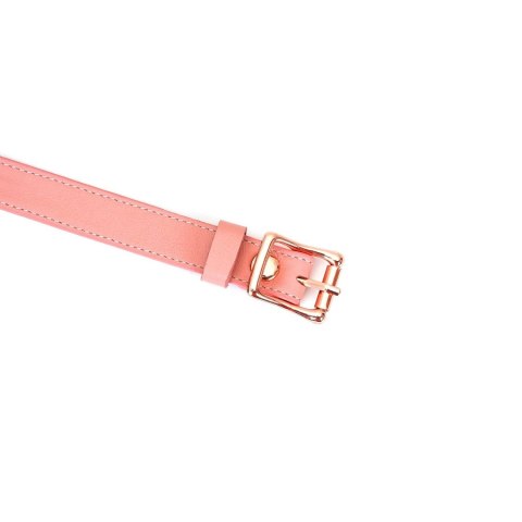 Liebe Seele knebel Pink Dream Ball Gag
