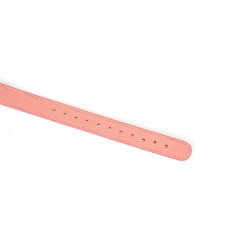 Liebe Seele knebel Pink Dream Ball Gag