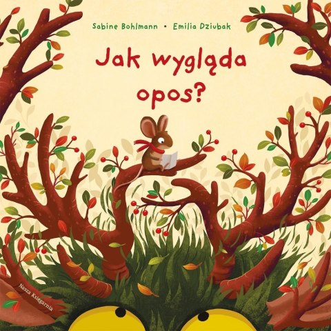 Jak wygląda opos? Jak wygląda opos?