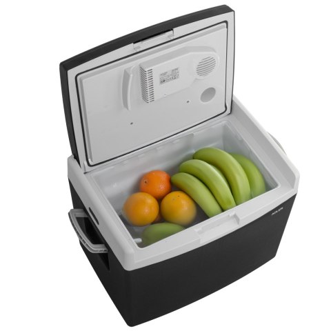 Adler Portable cooler | AD 8092 | 40 L | 230 V Adler Portable cooler | AD 8092 | 40 L | 230 V
