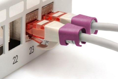 DIGITUS Color clips for Patch cable, Magenta | Digitus DIGITUS Color clips for Patch cable, Magenta | Digitus
