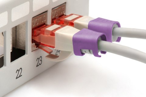 DIGITUS Color clips for Patch cable, Violet | Digitus DIGITUS Color clips for Patch cable, Violet | Digitus