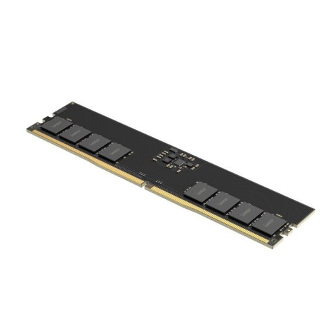 Lexar 16 GB | DDR5 | 5600 MHz | PC/server | Registered No | ECC Yes Lexar 16 GB | DDR5 | 5600 MHz | PC/server | Registered No | ECC Yes