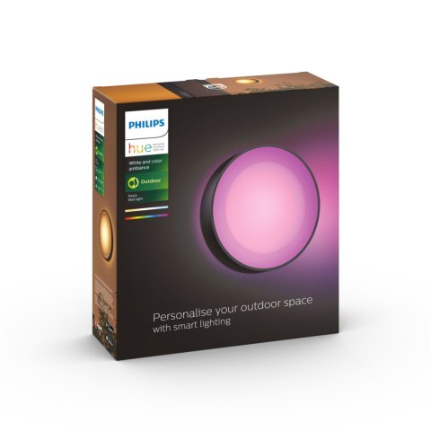 Philips Hue WCA Daylo Outdoor Wall Lantern, Black | Philips Hue Philips Hue WCA Daylo Outdoor Wall Lantern, Black | Philips Hue