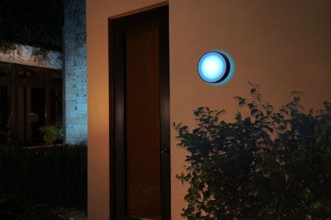 Philips Hue WCA Daylo Outdoor Wall Lantern, Black | Philips Hue Philips Hue WCA Daylo Outdoor Wall Lantern, Black | Philips Hue