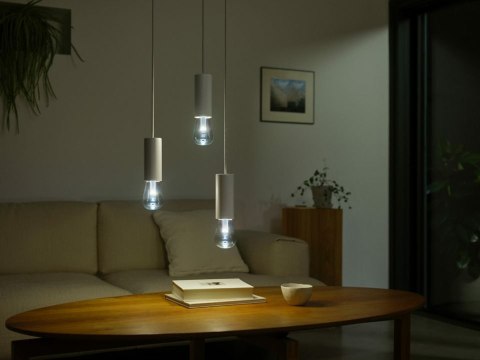 Philips Hue WCA Lightguide ST72 E27 | Philips Hue