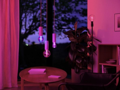 Philips Hue WCA Lightguide ST72 E27 | Philips Hue