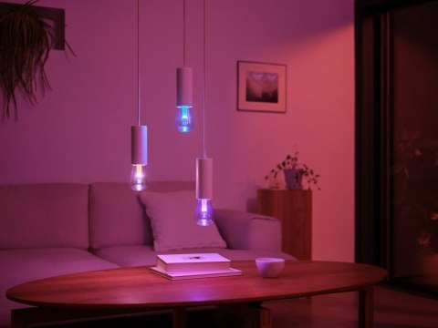 Philips Hue WCA Lightguide ST72 E27 | Philips Hue