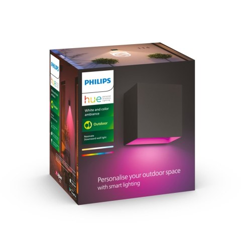 Philips Hue WCA Resonate Outdoor Downward Wall Lantern, Black | Philips Hue