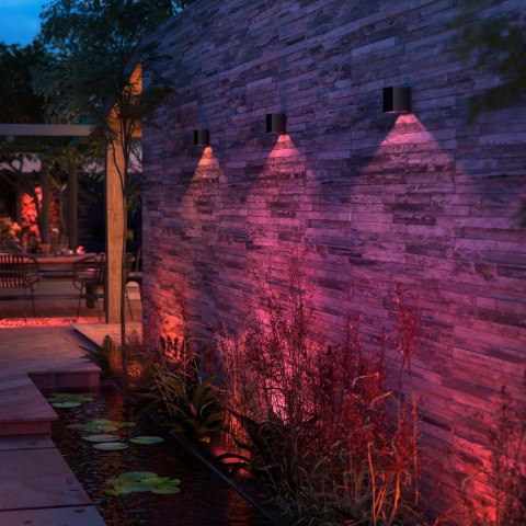 Philips Hue WCA Resonate Outdoor Downward Wall Lantern, Black | Philips Hue