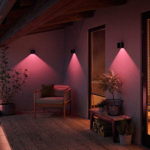 Philips Hue WCA Resonate Outdoor Downward Wall Lantern, Black | Philips Hue