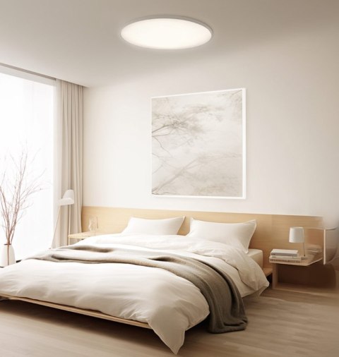 Xiaomi Smart Ceiling Light D40 | 45 W Xiaomi Smart Ceiling Light D40 | 45 W