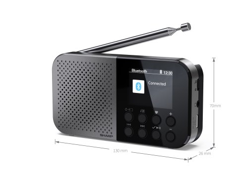 Sharp DR-P520(GY) OSAKA Pocket/Handheld Portable Digital Radio, Grey | Sharp