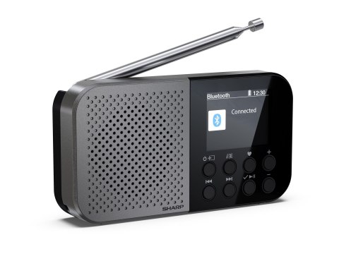 Sharp DR-P520(GY) OSAKA Pocket/Handheld Portable Digital Radio, Grey | Sharp