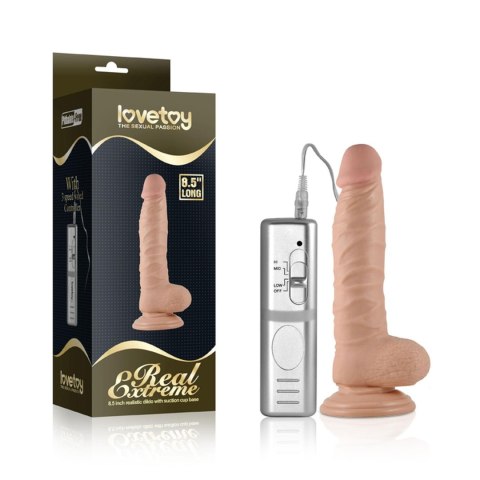 Wielki żylasty penis przyssawka idealny penetracja Wielki żylasty penis przyssawka idealny penetracja