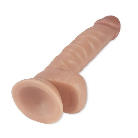 Wielki żylasty penis przyssawka idealny penetracja Wielki żylasty penis przyssawka idealny penetracja