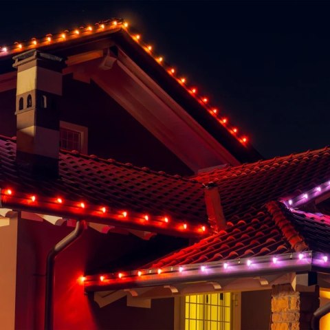 Żarówki Twinkly C9 Smart LED 40 RGB, 12,2 m, zielony przewód|Twinkly Żarówki Twinkly C9 Smart LED 40 RGB, 12,2 m, zielony przewód|Twinkly